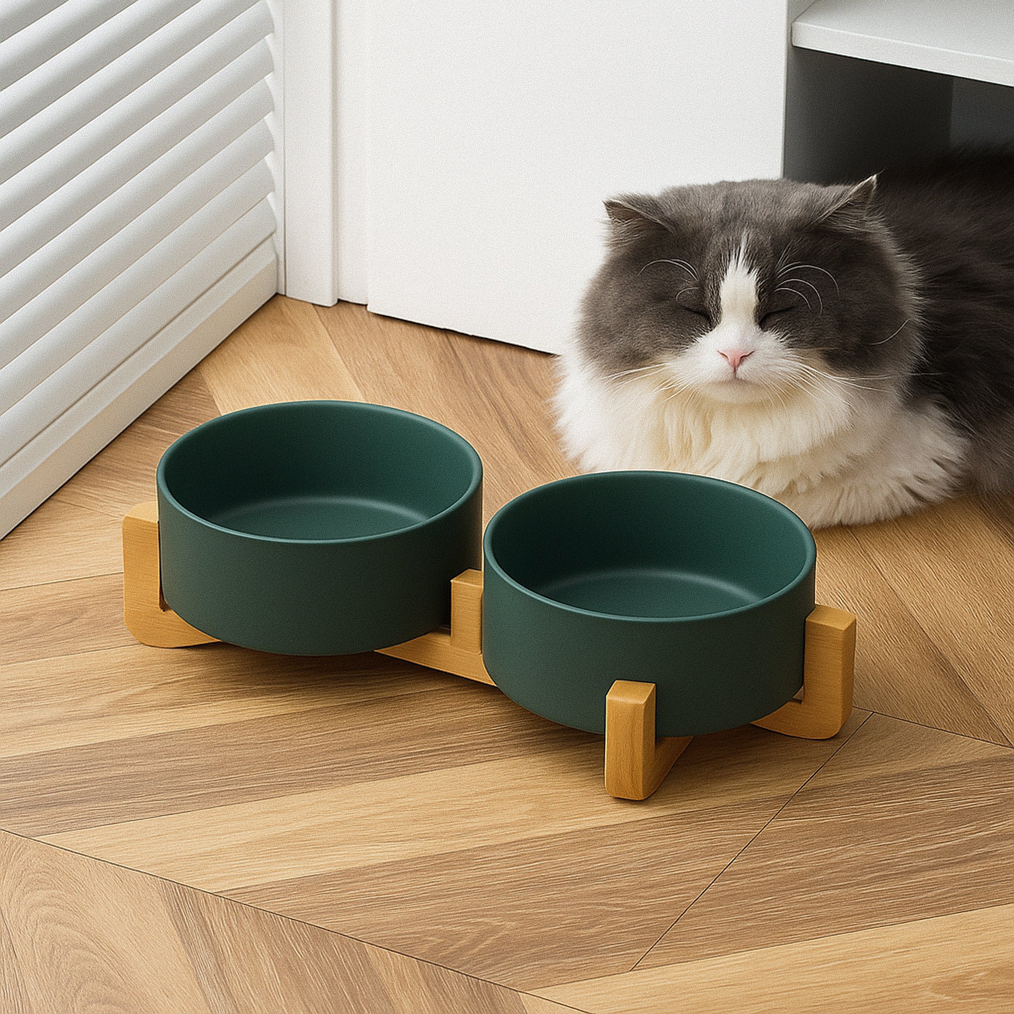 Gamelles & Accessoires repas