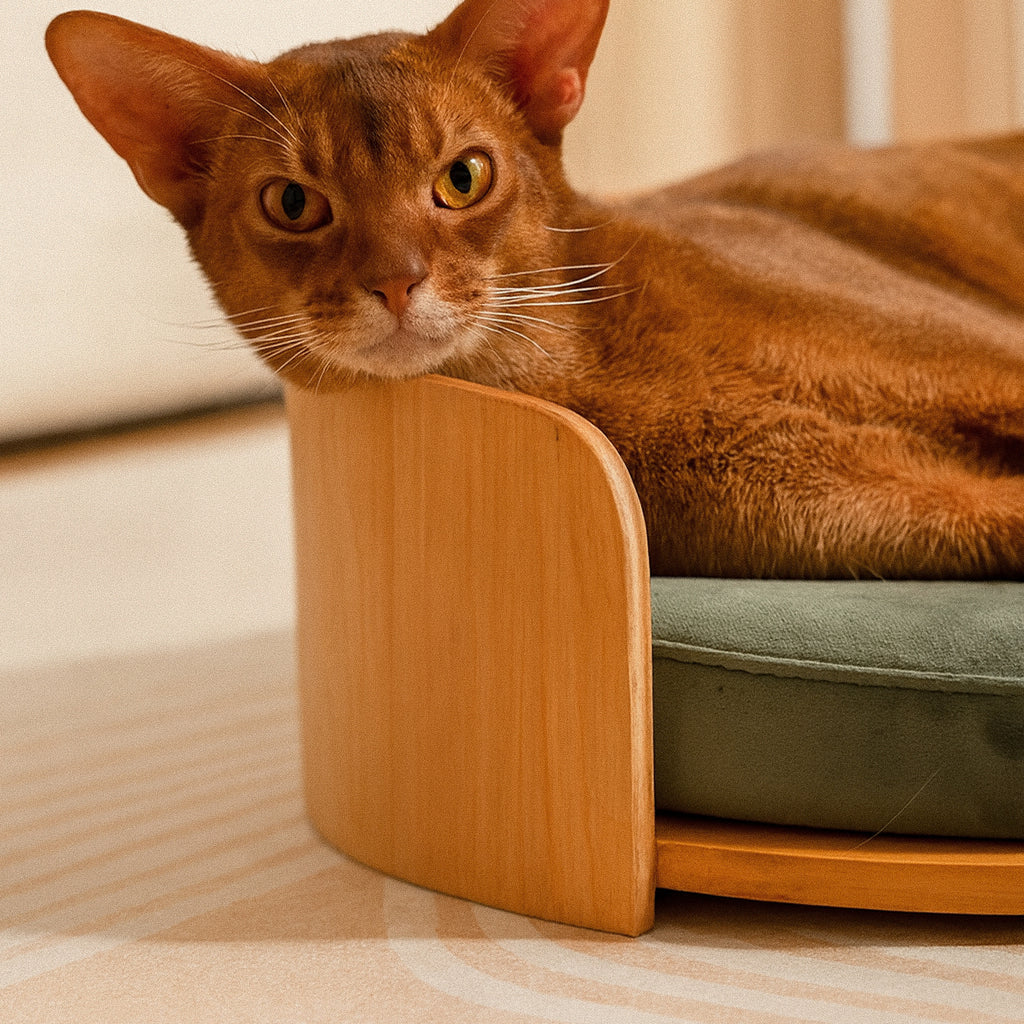 Liva – Niche en bois