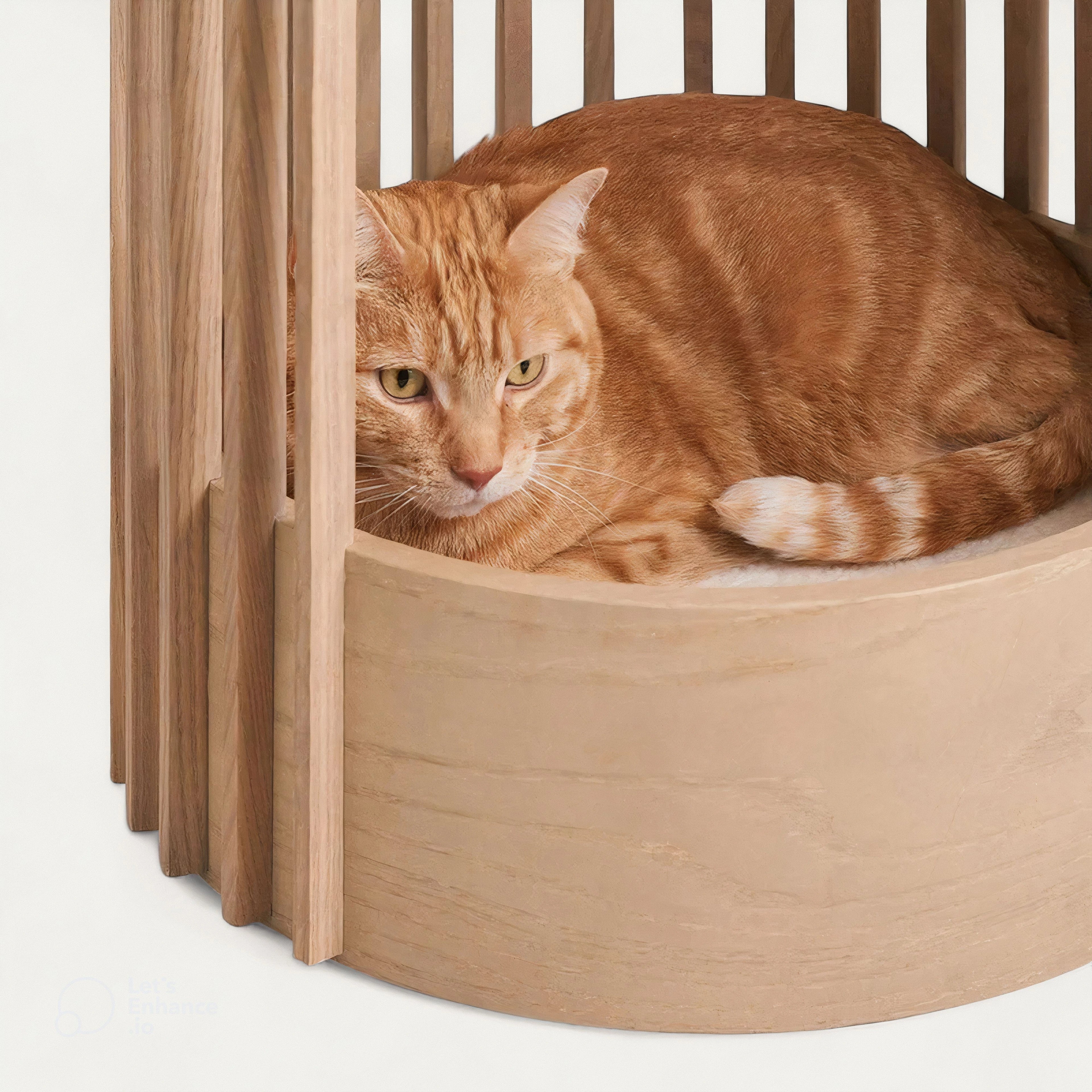 Lysa – Arbre à chat en bois