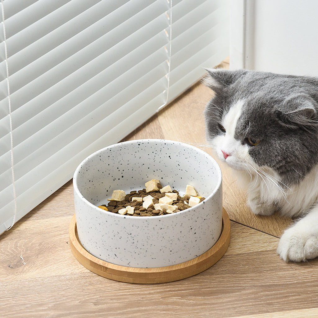 Alva – Gamelle double en bois & céramique