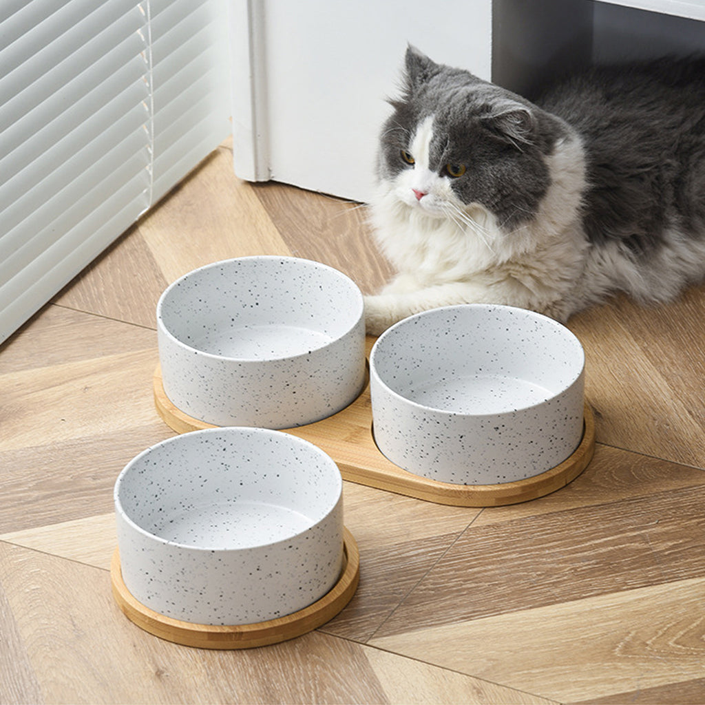 Alva – Gamelle double en bois & céramique