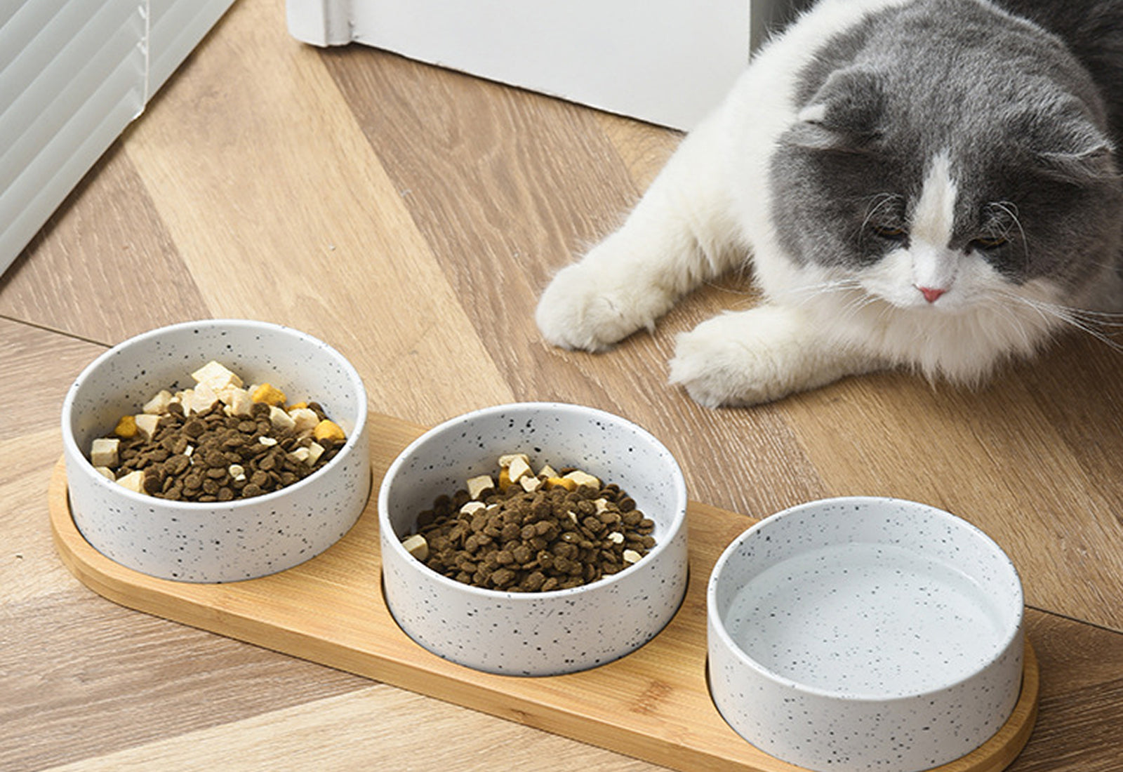 Alva – Gamelle double en bois & céramique close up