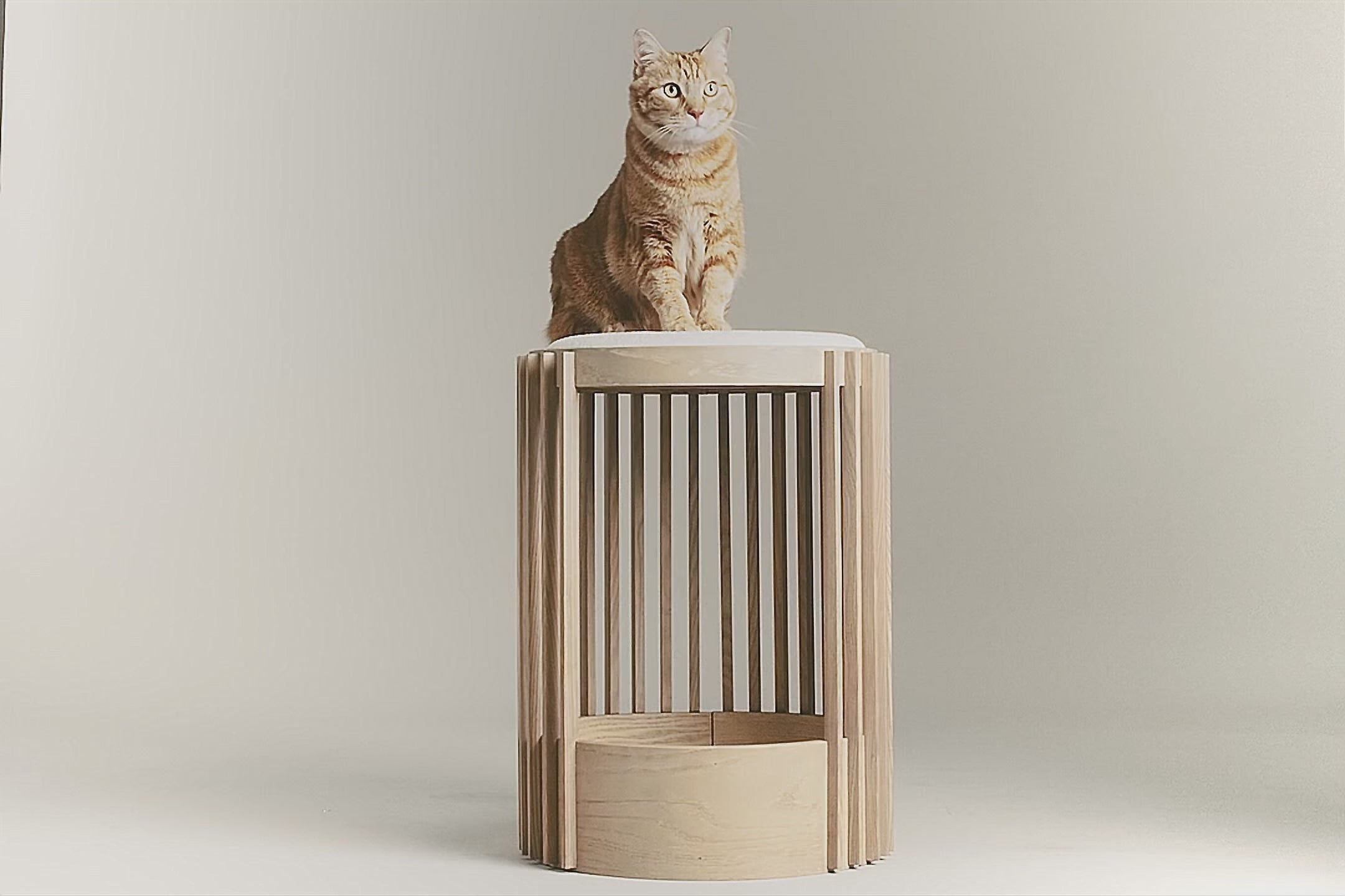 Lysa – Arbre à chat en bois